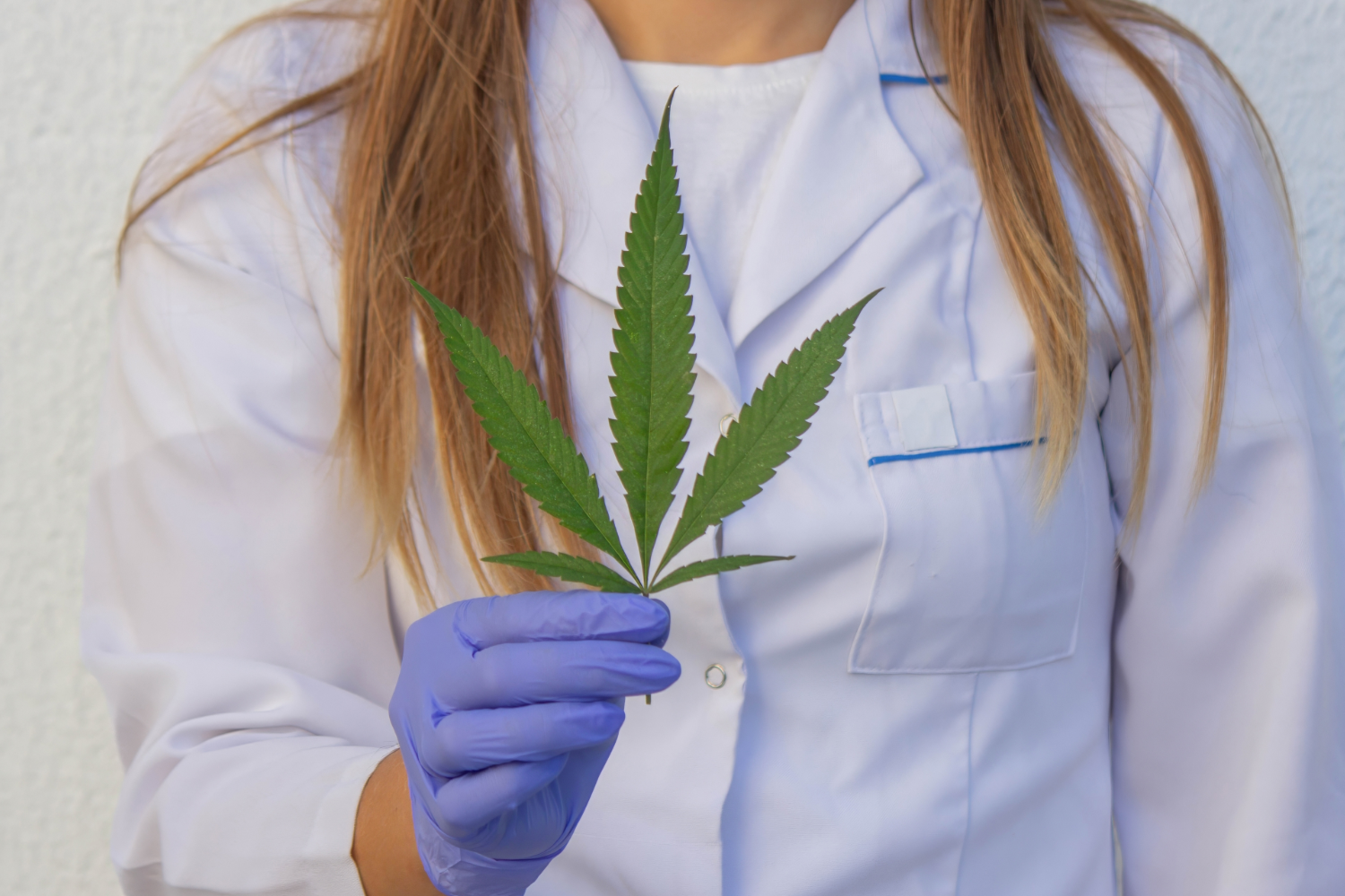 Medyczna marihuana w opiece paliatywnej