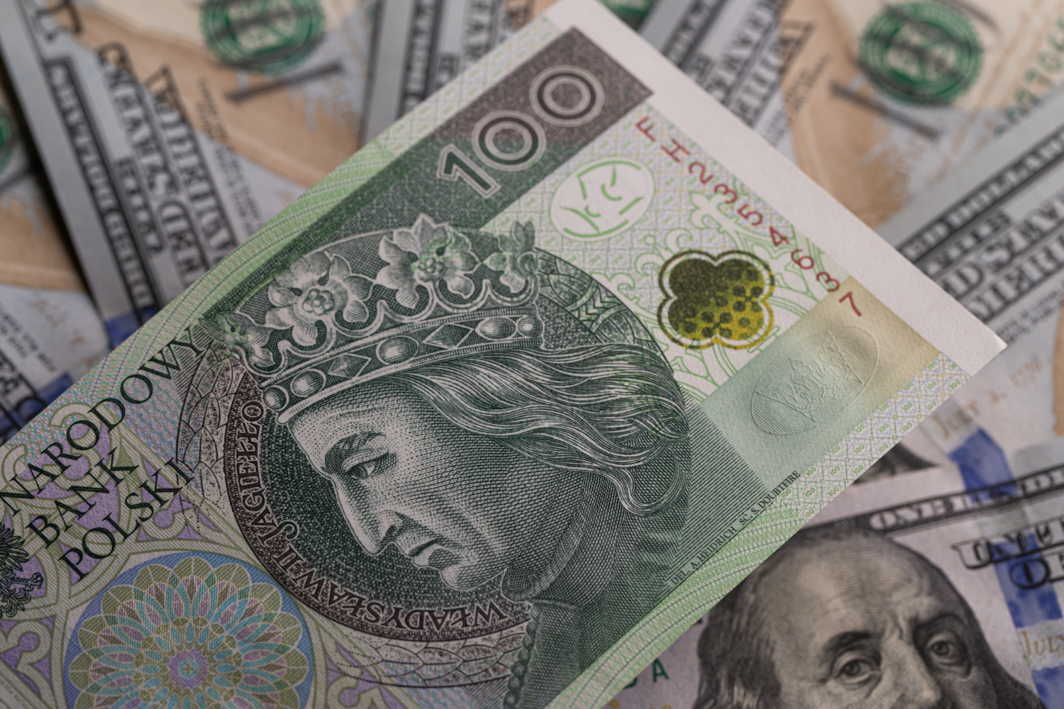 Pobieranie renty a praca zawodowa